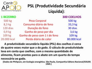 PSL (Produtividade Secundária
                                   Líquida):
1 BEZERRO                                                    300 COELHOS
  500 kg               Peso Corporal                               500 kg
  8,3 kg           Consumo diário de feno                          33,3 kg
 120 dias             Duração do feno                              30 dias
  0,9 kg            Ganho de peso por dia                            3,6 kg
 109 kg          Ganho de peso com 1 t de feno                      109 kg
20.000 kcal          Perda diária de calor                        80.000 kcal
   A produtividade secundária líquida (PSL) dos coelhos é cerca
de quatro vezes maior que a do gado. O cálculo de produtividade
leva em conta que coelhos, com a mesma quantidade de
alimento, ficam prontos para o abate em um quarto do tempo
necessário ao gado.
 (Dados de Philipson, em Ecologia energética. São Paulo, Companhia Editora Nacional/EDUSP,
                                              1969.)
 