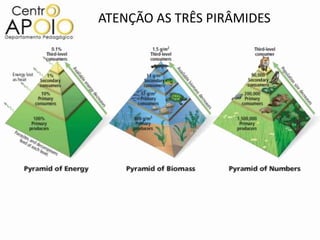 ATENÇÃO AS TRÊS PIRÂMIDES
 