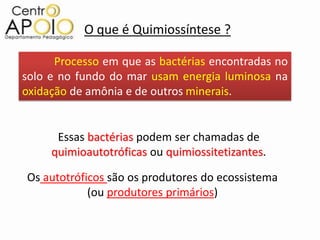 O que é Quimiossíntese ?

      Processo em que as bactérias encontradas no
solo e no fundo do mar usam energia luminosa na
oxidação de amônia e de outros minerais.


      Essas bactérias podem ser chamadas de
     quimioautotróficas ou quimiossitetizantes.

Os autotróficos são os produtores do ecossistema
            (ou produtores primários)
 