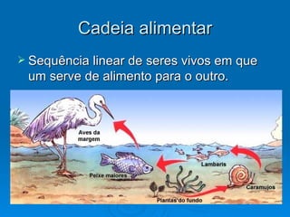 Cadeia alimentar Sequência linear de seres vivos em que um serve de alimento para o outro. 