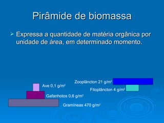 Pirâmide de biomassa Expressa a quantidade de matéria orgânica por unidade de área, em determinado momento. Gramíneas 470 g/m 2  Gafanhotos 0,6 g/m 2 Ave 0,1 g/m 2 Zooplâncton 21 g/m 2 Fitoplâncton 4 g/m 2 