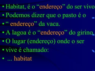 Habitat, é o “endereço” do ser vivoPodemos dizer que o pasto é o “ endereço” da vaca. A lagoa é o “endereço” do girino.O lugar (endereço) onde o ser vive é chamado: ... habitat