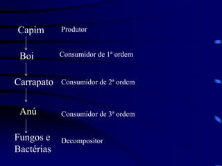 Capim ProdutorBoiConsumidor de 1ª ordemCarrapato Consumidor de 2ª ordemAnúConsumidor de 3ª ordemFungos e Bactérias Decompositor