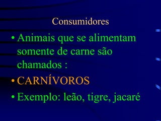 ConsumidoresAnimais que se alimentam somente de carne são chamados :CARNÍVOROSExemplo: leão, tigre, jacaré