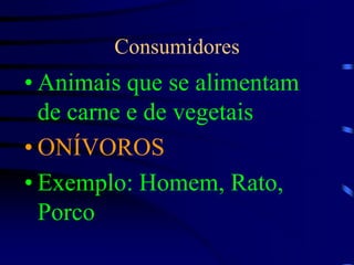 ConsumidoresAnimais que se alimentam  de carne e de vegetaisONÍVOROSExemplo: Homem, Rato, Porco
