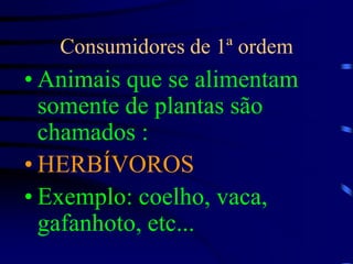 Consumidores de 1ª ordem,[object Object],Animais que se alimentam somente de plantas são chamados :,[object Object],HERBÍVOROS,[object Object],Exemplo: coelho, vaca, gafanhoto, etc...,[object Object]
