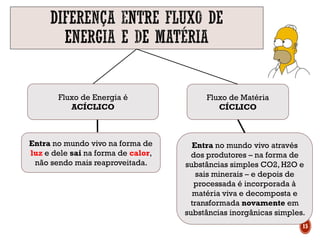 Fluxo de Energia é
ACÍCLICO
Fluxo de Matéria
CÍCLICO
Entra no mundo vivo através
dos produtores – na forma de
substâncias simples CO2, H2O e
sais minerais – e depois de
processada é incorporada à
matéria viva e decomposta e
transformada novamente em
substâncias inorgânicas simples.
Entra no mundo vivo na forma de
luz e dele sai na forma de calor,
não sendo mais reaproveitada.
15
 