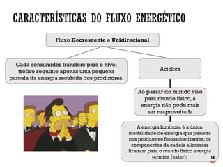 Fluxo Decrescente e Unidirecional
Cada consumidor transfere para o nível
trófico seguinte apenas uma pequena
parcela da energia recebida dos produtores.
Acíclica
Ao passar do mundo vivo
para mundo físico, a
energia não pode mais
ser reaproveitada
A energia luminosa é a única
modalidade de energia que penetra
nos produtores fotossintetizantes;os
componentes da cadeia alimentar
liberam para o mundo físico energia
térmica (calor); 16
 