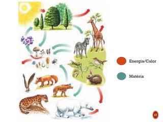 Energia/Calor
Matéria
17
 