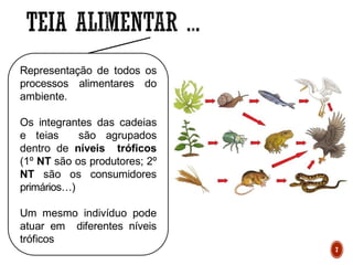 Representação de todos os
processos alimentares do
ambiente.
Os integrantes das cadeias
e teias são agrupados
dentro de níveis tróficos
(1º NT são os produtores; 2º
NT são os consumidores
primários…)
Um mesmo indivíduo pode
atuar em diferentes níveis
tróficos
7
 