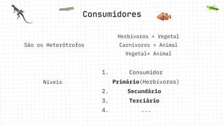 Consumidores
São os Heterótrofos
Herbívoros = Vegetal
Carnivoros = Animal
Vegetal+ Animal
1. Consumidor
Primário(Herbívoros)
2. Secundário
3. Terciário
4. ...
Níveis
 