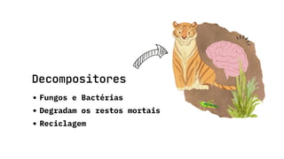 Fungos e Bactérias
Degradam os restos mortais
Reciclagem
Decompositores
 