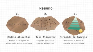 Cadeia Alimentar Pirâmide de Energia
Resumo
Mostra as relações de
alimentação entre organismos
Representa o fluxo de
energia no ecossistema
Teia Alimentar
Composta por várias
cadeias alimentares
1. 2. 3.
 