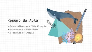 Resumo da Aula
Cadeia Alimentar x Teia Alimentar
Produtores x Consumidores
A Pirâmide de Energia
 