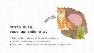 Nesta aula,
você aprenderá a:
Diferenciar cadeias de teias alimentares.
Definir produtores e consumidores.
Ilustrar a transferência de energia entre organismos.
 