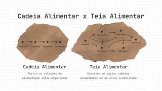 Cadeia Alimentar x Teia Alimentar
Cadeia Alimentar Teia Alimentar
Mostra as relações de
alimentação entre organismos
Consiste em várias cadeias
alimentares em um único ecossistema
Produtor Consumidor Consumidor Consumidor
Produtor
Consumidor Consumidor
Consumidor Consumidor
Consumidor
 