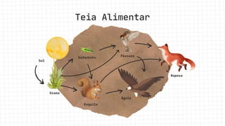 Sol
Gafanhoto
Grama
Teia Alimentar
Esquilo
Águia
Pássaro
Raposa
 