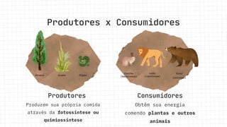Produtores x Consumidores
Produtores Consumidores
Produzem sua própria comida
através da fotossíntese ou
quimiossíntese
Obtêm sua energia
comendo plantas e outros
animais
Árvore Grama Algas
Coelho
(herbívoro)
Leão
(carnívoro)
Urso
(onívoro)
 