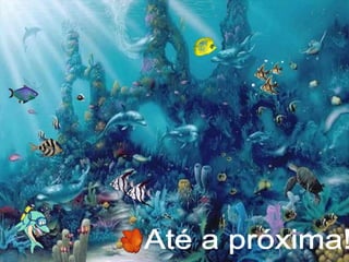 Cadeia e teia alimentar  beth