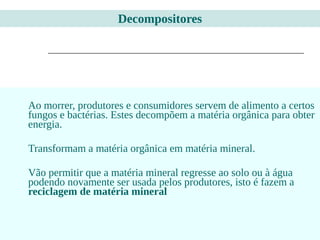 Ao morrer, produtores e consumidores servem de alimento a certos
fungos e bactérias. Estes decompõem a matéria orgânica para obter
energia.
Transformam a matéria orgânica em matéria mineral.
Vão permitir que a matéria mineral regresse ao solo ou à água
podendo novamente ser usada pelos produtores, isto é fazem a
reciclagem de matéria mineral
Decompositores
 