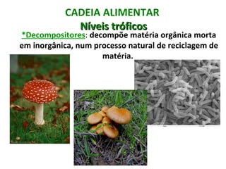 CADEIA ALIMENTAR
             Níveis tróficos
*Decompositores: decompõe matéria orgânica morta
em inorgânica, num processo natural de reciclagem de
                     matéria.
 