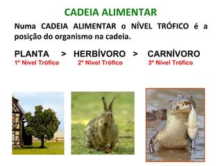 CADEIA ALIMENTAR
Numa CADEIA ALIMENTAR o NÍVEL TRÓFICO é a
posição do organismo na cadeia.

PLANTA     >   HERBÍVORO   >    CARNÍVORO
1º Nível Trófico           2º Nível Trófico               3º Nível Trófico
 