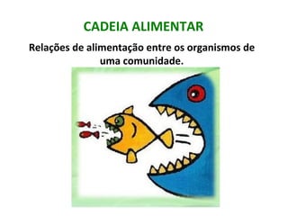 CADEIA ALIMENTAR
Relações de alimentação entre os organismos de
               uma comunidade.
 