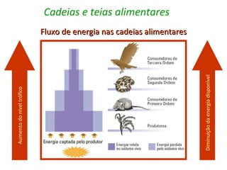 Cadeias e teias alimentares
                           Fluxo de energia nas cadeias alimentares




                                                                      Diminuição da energia disponível
Aumento do nível trófico
 