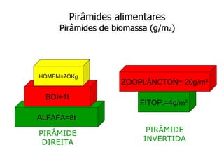 Pirâmides alimentares
  PIRÂMIDES ECOLÓGICAS
     Pirâmides de biomassa (g/m2)




HOMEM=7OKg
                   ZOOPLÂNCTON= 20g/m²

 BOI=1t
                        FITOP.=4g/m²

ALFAFA=8t

PIRÂMIDE                  PIRÂMIDE
 DIREITA                 INVERTIDA
 