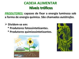 CADEIA ALIMENTAR
                Níveis tróficos
PRODUTORES: capazes de fixar a energia luminosa sob
a forma de energia química. São chamados autótrofos.

 Dividem-se em:
  * Produtores fotossintetizantes.
  * Produtores quimiossintetizantes.
 