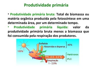 Produtividade primária
• Produtividade primária bruta: Total de biomassa ou
matéria orgânica produzida pela fotossíntese em uma
determinada área, por um determinado tempo.
• Produtividade primária líquida: valor da
produtividade primária bruta menos a biomassa que
foi consumida pela respiração dos produtores.
 