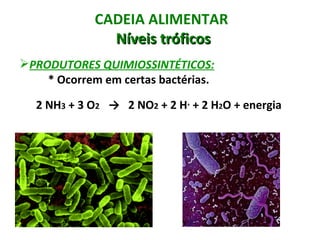 CADEIA ALIMENTAR
               Níveis tróficos
PRODUTORES QUIMIOSSINTÉTICOS:
    * Ocorrem em certas bactérias.

  2 NH3 + 3 O2 → 2 NO2 + 2 H+ + 2 H2O + energia
 