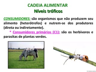 CADEIA ALIMENTAR
                Níveis tróficos
CONSUMIDORES: são organismos que não produzem seu
alimento (heterótrofos) e nutrem-se dos produtores
(direta ou indiretamente).
    * Consumidores primários (C1): são os herbívoros e
parasitas de plantas verdes.
 