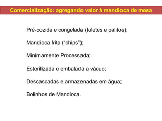 Comercialização: agregando valor à mandioca de mesa
Pré-cozida e congelada (toletes e palitos);
Mandioca frita (“chips”);
Minimamente Processada;
Esterilizada e embalada a vácuo;
Descascadas e armazenadas em água;
Bolinhos de Mandioca.
 