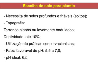 - Necessita de solos profundos e friáveis (soltos);
- Topografia:
Terrenos planos ou levemente ondulados;
Declividade: até 10%;
- Utilização de práticas conservacionistas;
- Faixa favorável de pH: 5,5 a 7,0;
- pH ideal: 6,5;
Escolha do solo para plantio
 