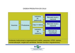 Insumos Produtores 
Indústria 
do 
pedúnculo 
Mercado local e 
nacional 
Caju in natura Mercado local e 
Indústria 
da 
castanha 
nacional 
Mercado de 
exportação 
CADEIA PRODUTIVA DO CAJU 
Ambiente institucional e organizacional (crédito, pesquisa, ATER, câmbio, 
comercialização, exigências sanitárias, demais normas e regulamentos) 
 