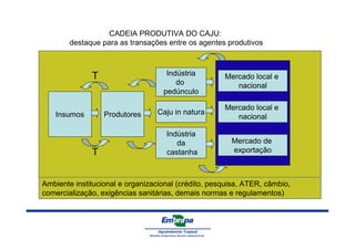 T 
Insumos Produtores 
Indústria 
do 
pedúnculo 
Mercado local e 
nacional 
Caju in natura Mercado local e 
Indústria 
da 
castanha 
nacional 
Mercado de 
exportação 
CADEIA PRODUTIVA DO CAJU: 
destaque para as transações entre os agentes produtivos 
T 
Ambiente institucional e organizacional (crédito, pesquisa, ATER, câmbio, 
comercialização, exigências sanitárias, demais normas e regulamentos) 
 