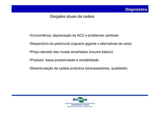 Gargalos atuais da cadeia 
Diagnóstico 
•Concorrência, depreciação da ACC e problemas cambiais 
•Desperdício do pedúnculo (cajueiro gigante x alternativas de usos) 
•Preço elevado das mudas enxertadas (insumo básico) 
•Produtor: baixa produtividade e rentabilidade 
•Desarticulação da cadeia produtiva (atravessadores, qualidade) 
 