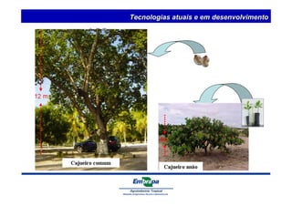 Tecnologias atuais e em desenvolvimento 
 
