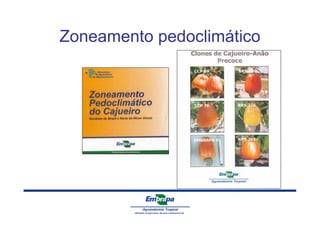 Zoneamento pedoclimático 
 