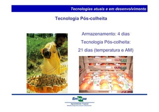 Tecnologias atuais e em desenvolvimento 
Tecnologia Pós-colheita 
Armazenamento: 4 dias 
Tecnologia Pós-colheita: 
21 dias (temperatura e AM) 
 
