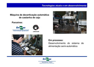 Máquina de decorticação automática 
de castanha de caju 
Em processo: 
Desenvolvimento do sistema de 
alimentação semi-automático 
Parceiros: 
Tecnologias atuais e em desenvolvimento 
 