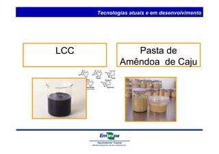 Tecnologias atuais e em desenvolvimento 
Pasta de 
Amêndoa de Caju 
LCC 
 