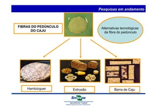 FIBRAS DO PEDÚNCULO 
DO CAJU 
Hambúrguer Extrusão 
Pesquisas em andamento 
Alternativas tecnológicas 
da fibra do pedúnculo 
Barra de Caju 
 