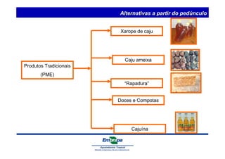 Produtos Tradicionais 
(PME) 
Alternativas a partir do pedúnculo 
Xarope de caju 
Caju ameixa 
“Rapadura” 
Doces e Compotas 
Cajuína 
 
