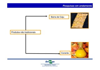 Produtos não tradicionais 
Pesquisas em andamento 
Barra de Caju 
Corante 
 