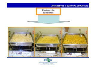 Alternativas a partir do pedúnculo 
Produtos não 
tradicionais 
 
