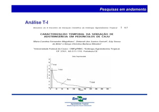 Análise T-I 
Pesquisas em andamento 
 