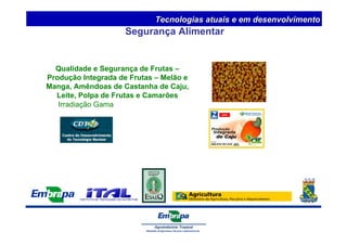 Segurança Alimentar 
Qualidade e Segurança de Frutas – 
Produção Integrada de Frutas – Melão e 
Manga, Amêndoas de Castanha de Caju, 
Leite, Polpa de Frutas e Camarões 
Irradiação Gama 
Tecnologias atuais e em desenvolvimento 
 