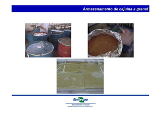 Armazenamento de cajuína a granel 
 